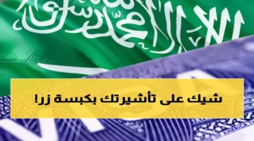 خدمة إلكترونية.. الخارجية تنهي طوابير التصديقات عبر منصة رقمية في ثوانٍ معدودة